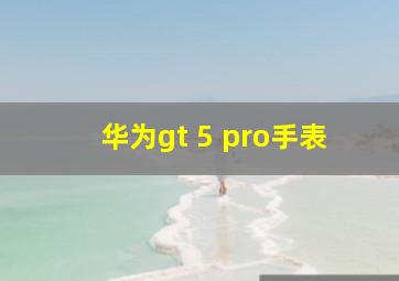 华为gt 5 pro手表